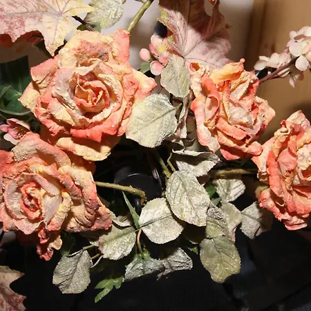 Gampeler Hof 3* Galtür